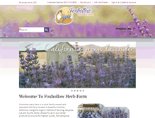 Tablet Screenshot of foxhollowherbs.com